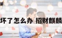 招财麒麟坏了怎么办 招财麒麟如何摆放