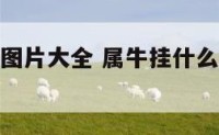 属牛的挂件图片大全 属牛挂什么挂件增加运气和财气