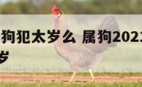 2019属狗犯太岁么 属狗2021年是不是犯太岁