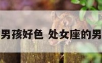 处女座的男孩好色 处女座的男孩好色不