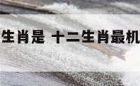 最机警十二生肖是 十二生肖最机灵是哪个生肖