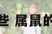属鼠的有那些 属鼠的有那些岁数