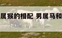 男属马与女属猴的相配 男属马和女属猴婚姻幸福吗?