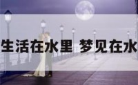 梦到被猫生活在水里 梦见在水里被猫咬