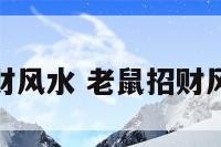 老鼠招财风水 老鼠招财风水摆放