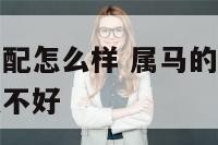 属马与属牛相配怎么样 属马的人跟属牛的相配婚姻有什么不好
