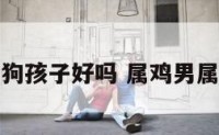 属鸡男生属狗孩子好吗 属鸡男属狗婚姻状况