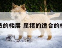 属猪忌的楼层 属猪的适合的楼层数