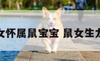 属龙女怀属鼠宝宝 鼠女生龙宝宝