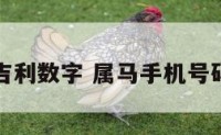 手机号码吉利数字 属马手机号码吉利数字