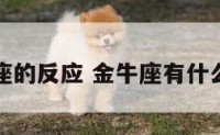 金牛座的反应 金牛座有什么反应