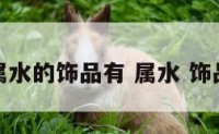 属水的饰品有 属水 饰品