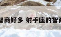 射手座的智商好多 射手座的智商是多少名
