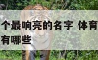 体育活动取个最响亮的名字 体育活动取个最响亮的名字有哪些