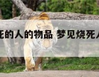 梦见烧以死的人的物品 梦见烧死人用过的东西