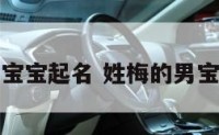 姓梅的男宝宝起名 姓梅的男宝宝起名字