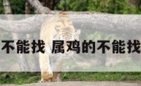 属鸡的不能找 属鸡的不能找的属相