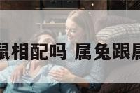 属兔和属鼠相配吗 属兔跟属鼠相配吗