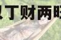 家居大门怎样可以丁财两旺 大门要怎么样运气好
