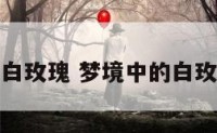 梦境中的白玫瑰 梦境中的白玫瑰是什么