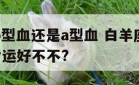 白羊座是o型血还是a型血 白羊座是什么血型,性格,命运好不不?