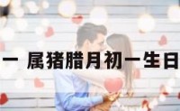 属猪腊月初一 属猪腊月初一生日的女人好吗