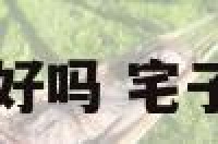 阳宅前有池塘好吗 宅子前有池塘好吗