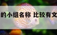 比较有文化的小组名称 比较有文化的小组名称和口号