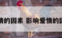 影响爱情的因素 影响爱情的因素论文