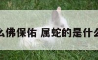 属蛇什么佛保佑 属蛇的是什么佛保佑