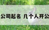 几个人开公司起名 几个人开公司起名字