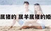 属羊的找属猪的 属羊属猪的婚姻好不好