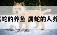 1989年属蛇的养鱼 属蛇的人养鱼好不好