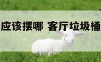 客厅垃圾桶应该摆哪 客厅垃圾桶一般摆放在哪里好