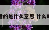 事业命指的是什么意思 什么叫事业命