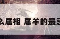 属羊的忌什么属相 属羊的最忌讳什么属相
