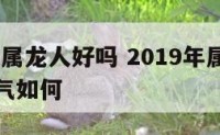 2019年属龙人好吗 2019年属龙的财运和运气如何