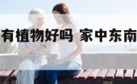 家中东南方有植物好吗 家中东南方放什么植物