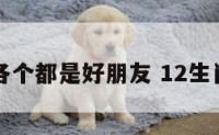 十二生肖各个都是好朋友 12生肖的好朋友