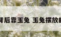 阳宅背后靠玉兔 玉兔摆放的朝向
