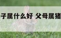 父母属猪孩子属什么好 父母属猪孩子属什么好?