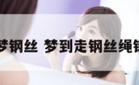 周公解梦钢丝 梦到走钢丝绳钢丝断了