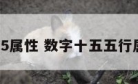 数字15属性 数字十五五行属什么
