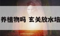 玄关宜水养植物吗 玄关放水培植物风水