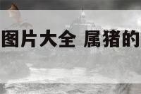 属猪的吉祥物图片大全 属猪的吉祥物图片大全大图