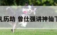 神仙下凡历劫 曾仕强讲神仙下凡特征