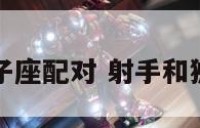 射手和狮子座配对 射手和狮子座合吗