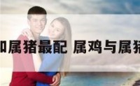 属鸡和属猪最配 属鸡与属猪婚配