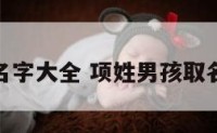 姓项男孩名字大全 项姓男孩取名简单好听