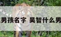 吴志男孩名字 吴智什么男宝名